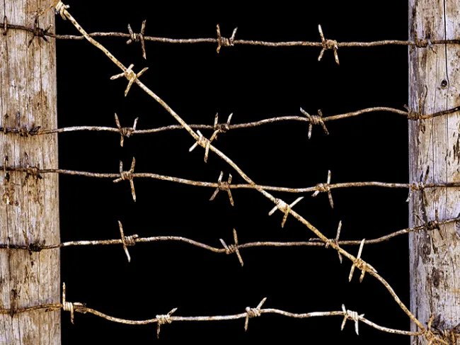 Barbed Wire Military
